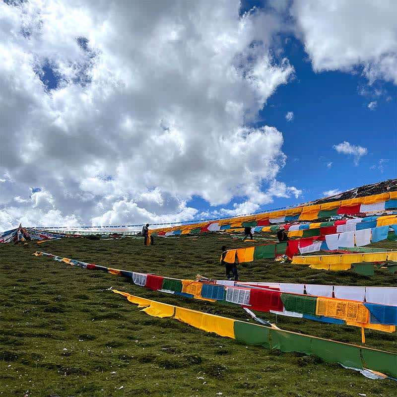 Tibetan 5 Colors Windhorse Auspicious Outdoor 25 Pcs Prayer Flag - Image 4