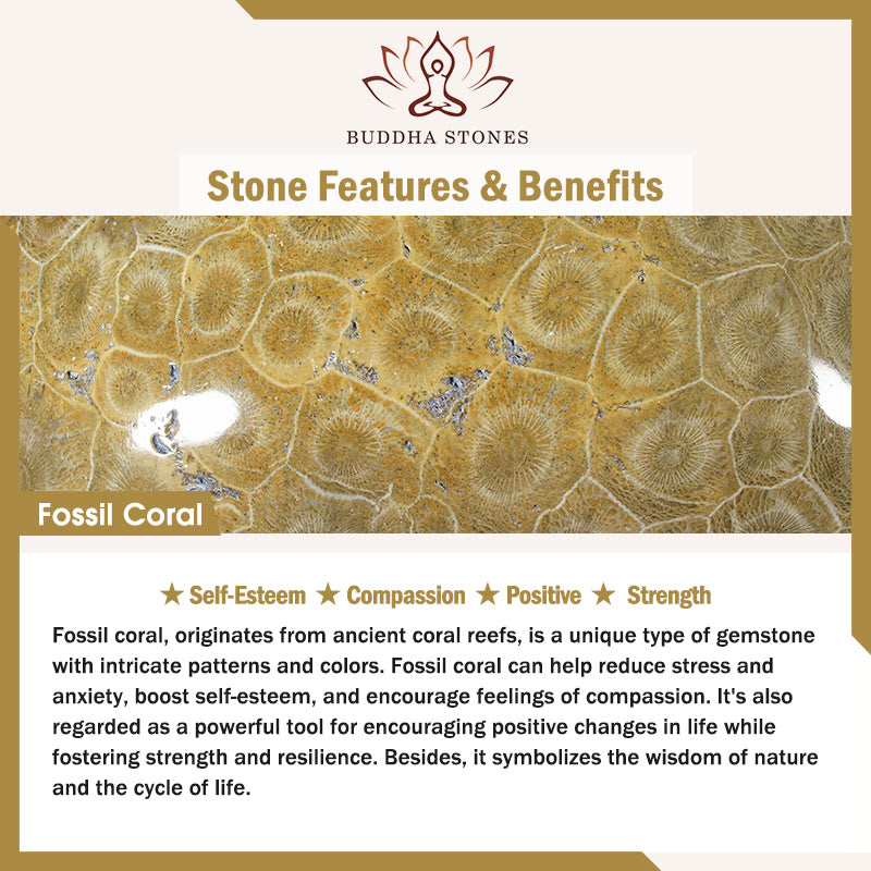 Fossil Coral Compassion Bracelet - Image 6