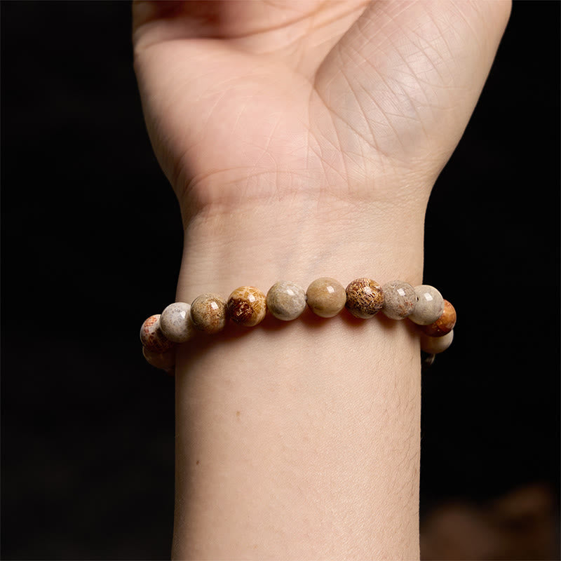 Fossil Coral Compassion Bracelet - Image 4