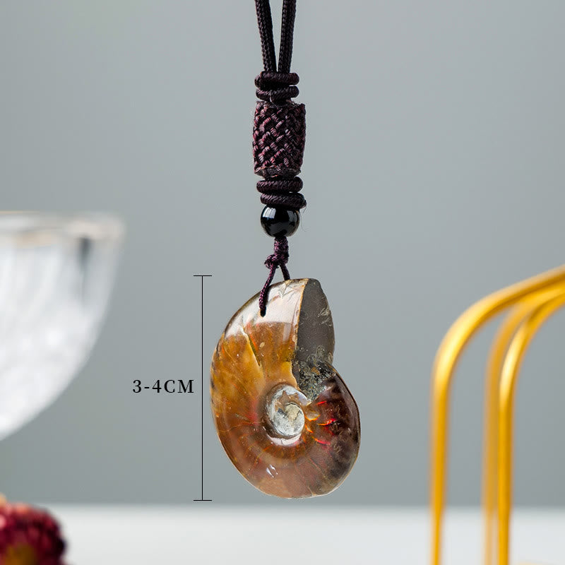 Natural Ammonite Fossil Snail Pattern Meditation Healing Necklace Pendant - Image 5