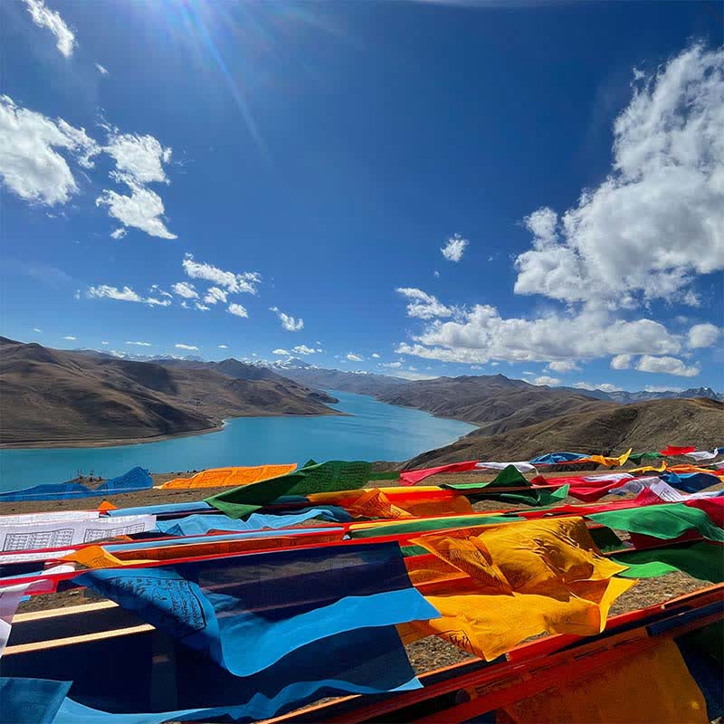 Tibetan 5 Colors Windhorse Auspicious Outdoor 25 Pcs Prayer Flag - Image 7