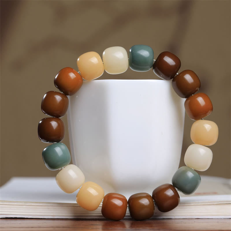 Multicolored Bodhi Seed Keep Away Evil Spirits Bracelet