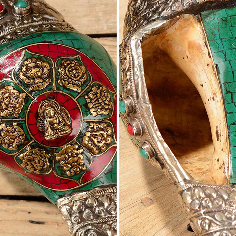 Tibetan Handmade Engraved Shankha Double Dorje Buddha Conch Shell Wealth Positive Decoration - Image 13