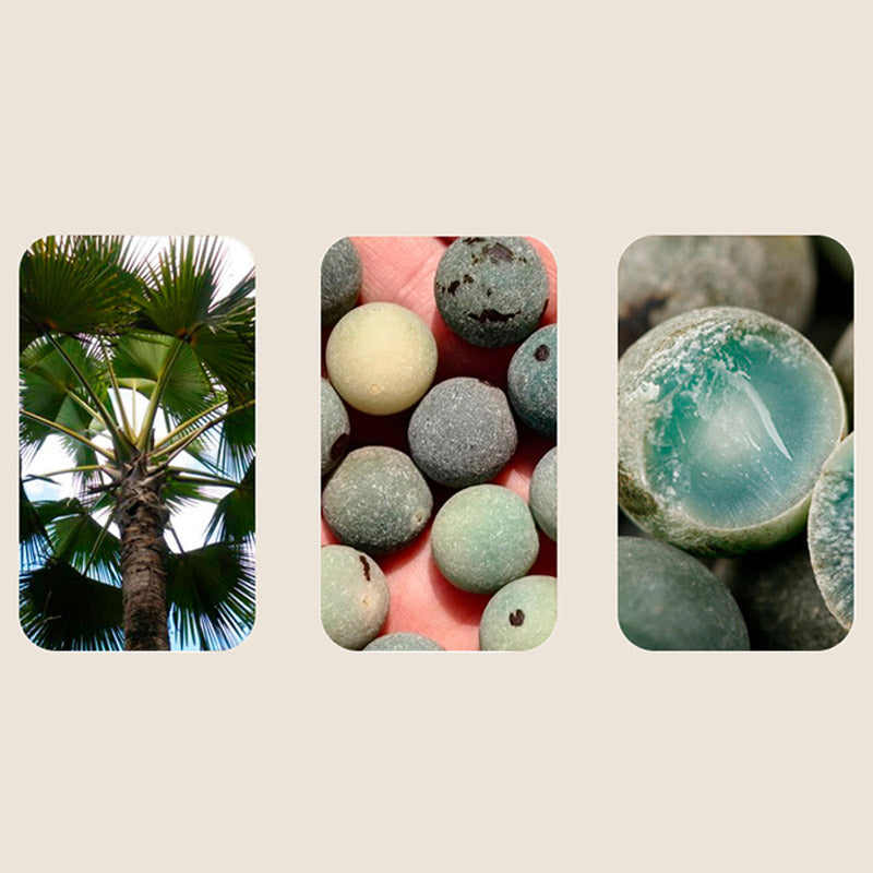 108 Beads Bodhi Seed Blessing Meditation Bracelet Mala - Image 11