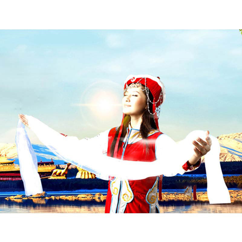 Tibetan Lucky Blessing 5 Colors Dragon Phoenix Pattern Khata Decoration - Image 17