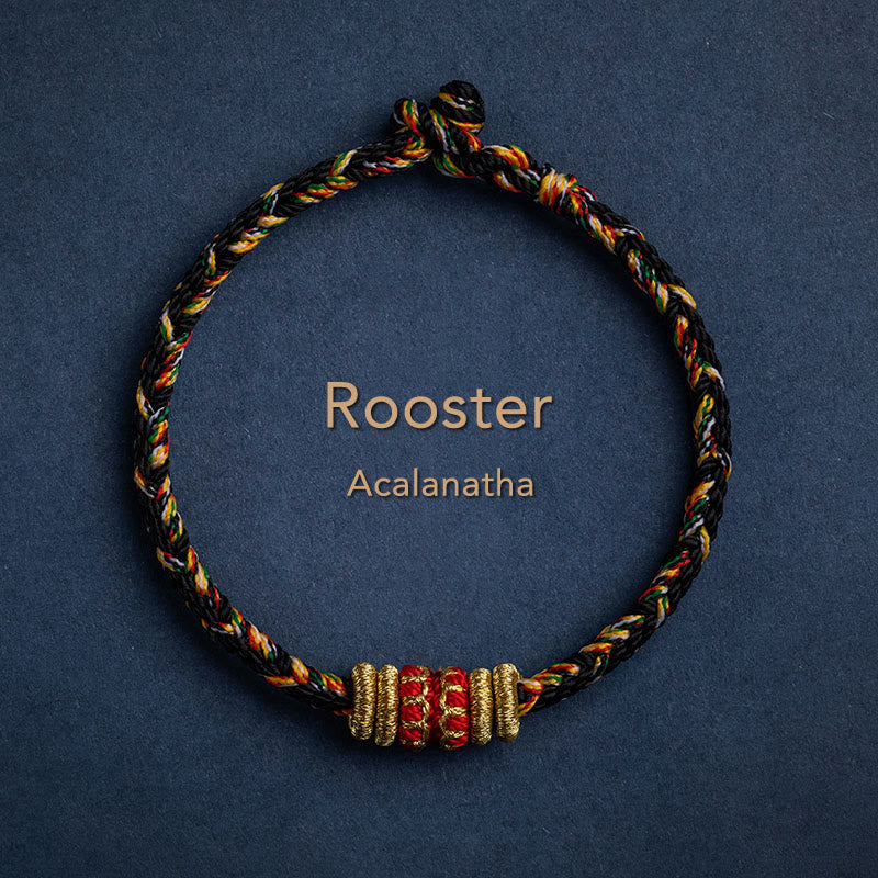 Tibet Handmade Chinese Zodiac Natal Buddha Luck Strength Braided String Bracelet - Image 26