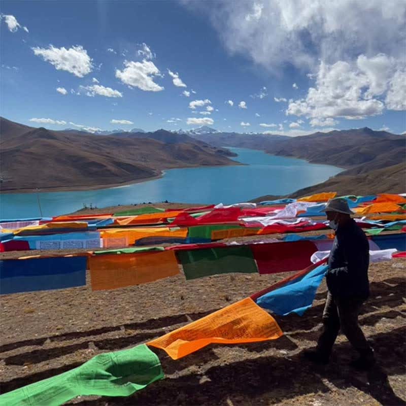 Tibetan 5 Colors Windhorse Auspicious Outdoor 25 Pcs Prayer Flag - Image 6