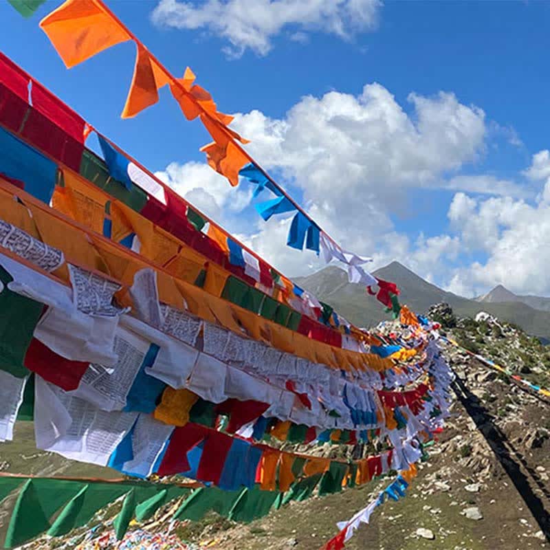 Tibetan 5 Colors Windhorse Auspicious Outdoor 25 Pcs Prayer Flag - Image 8