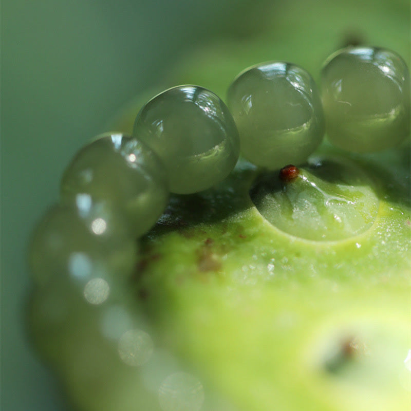 Jade Lotus Abundance Adjustable Bracelet - Image 12