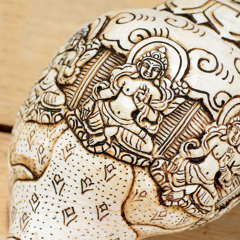 Tibetan Handmade Engraved Shankha Buddha Avalokitesvara Conch Shell Wealth Decoration - Image 24