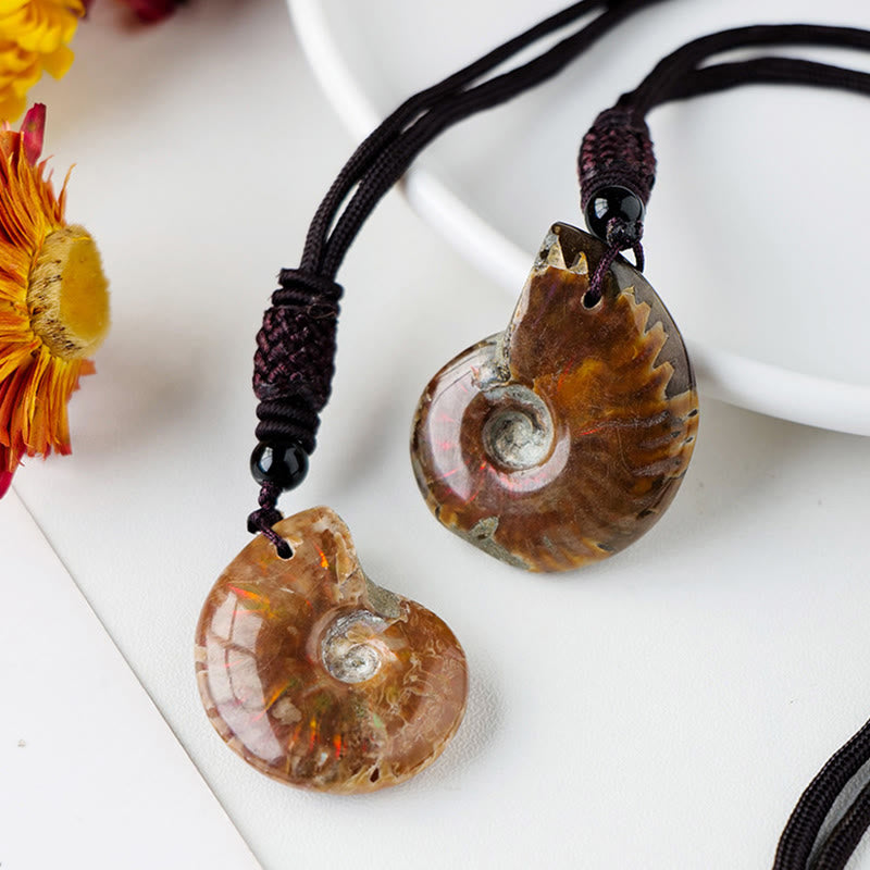 Natural Ammonite Fossil Snail Pattern Meditation Healing Necklace Pendant