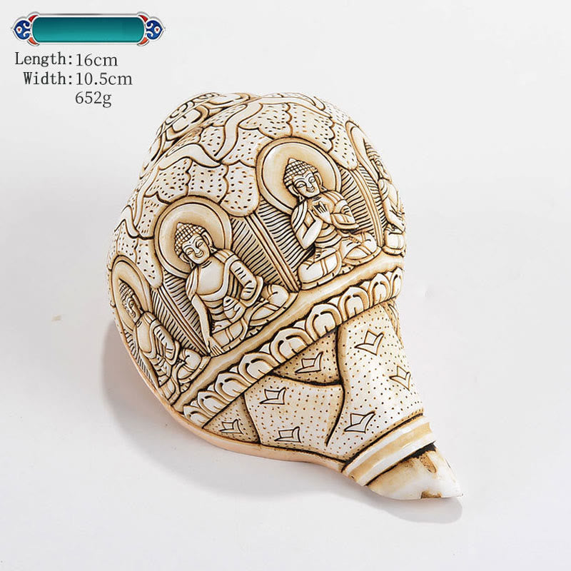 Tibetan Handmade Engraved Shankha Buddha Avalokitesvara Conch Shell Wealth Decoration - Image 14