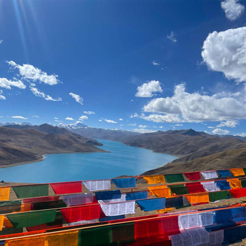 Tibetan 5 Colors Windhorse Auspicious Outdoor 25 Pcs Prayer Flag - Image 10