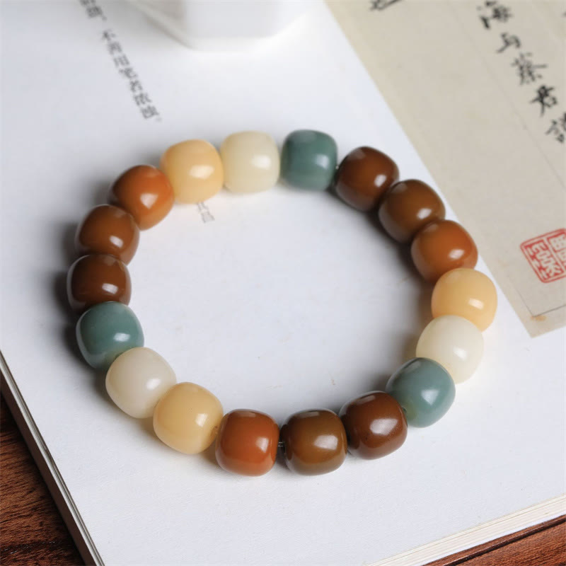 Multicolored Bodhi Seed Keep Away Evil Spirits Bracelet - Image 3